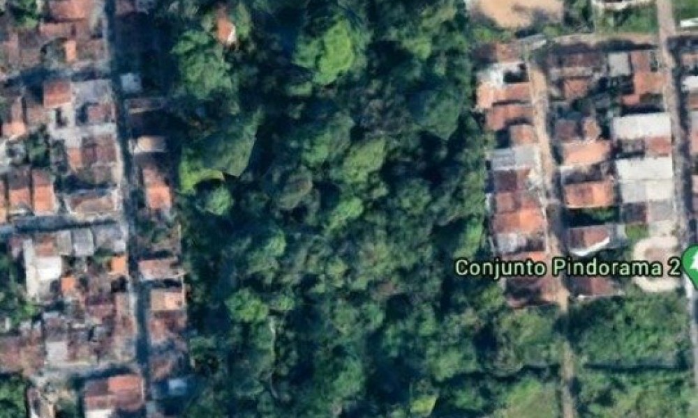 Terreno + Galpão