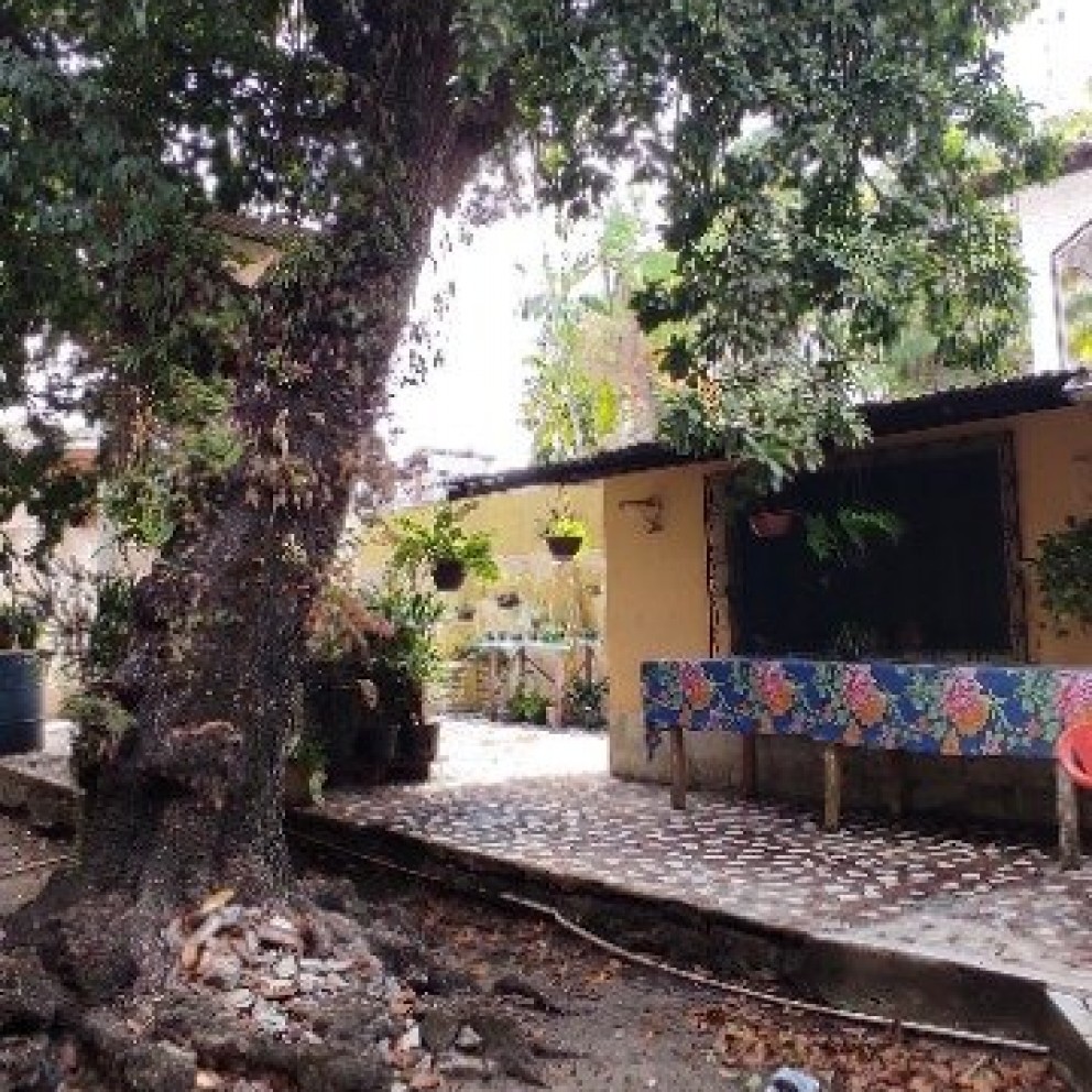 Casa Com Quintal 