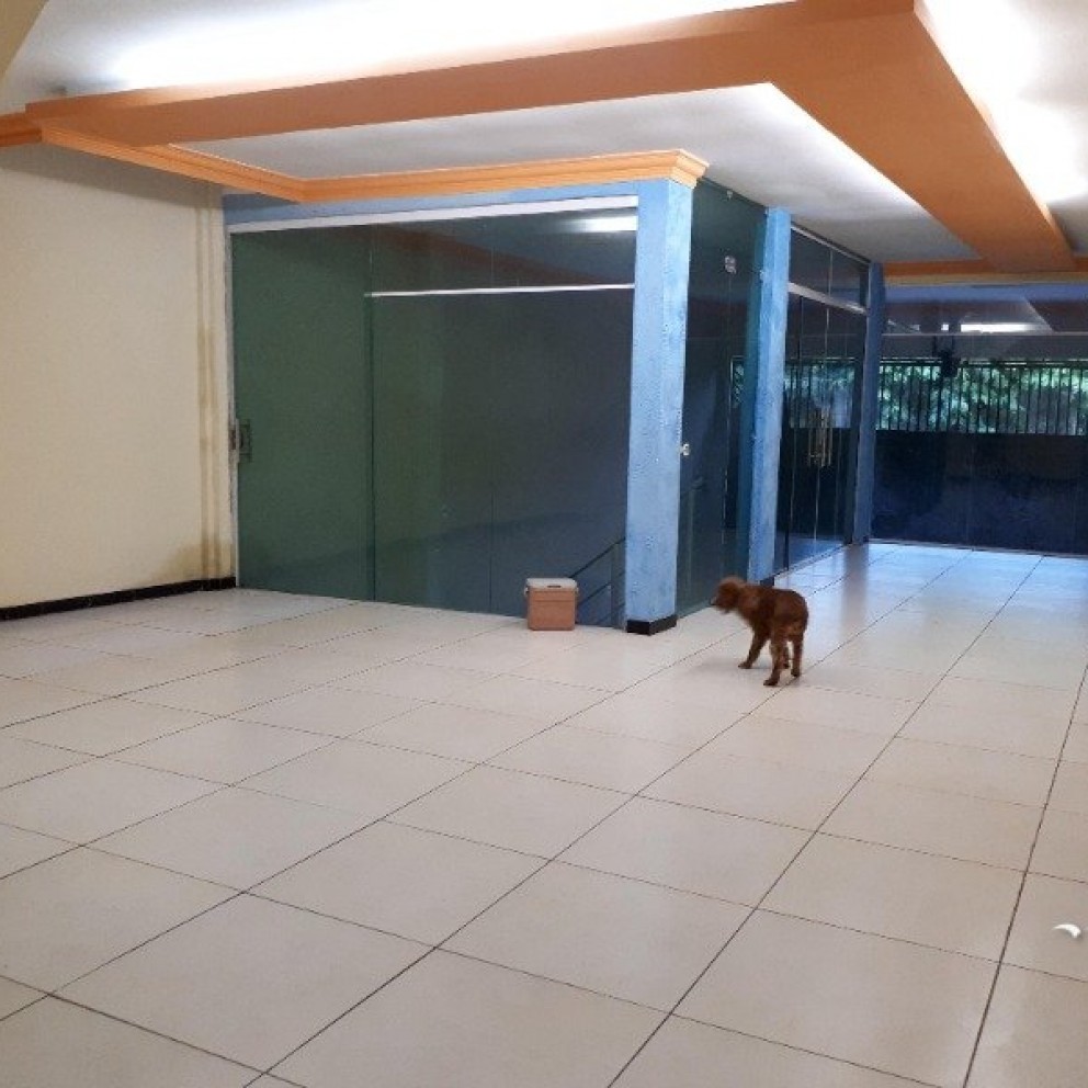 Prédio Comercial 3 Pavimentos
