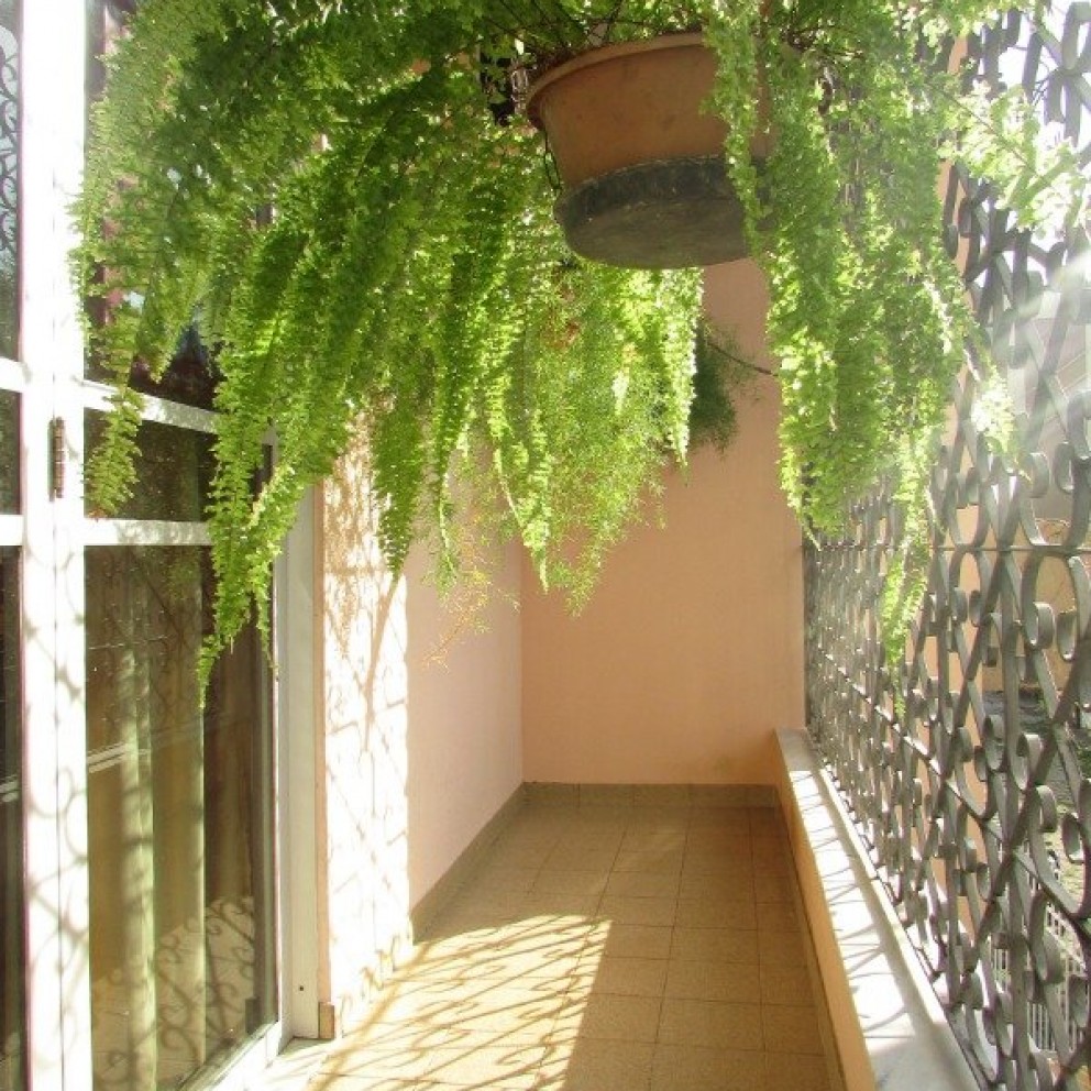 Casa 2 Pavimentos