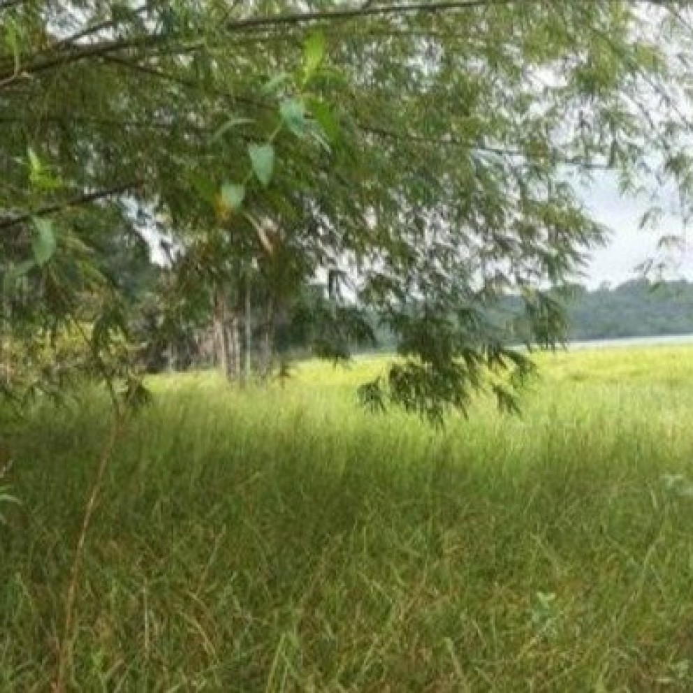 Terreno Na Pedreirinha