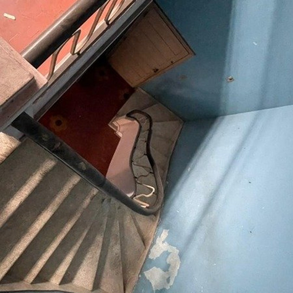 Prédio Comercial 2 Pavimentos